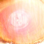 applewood