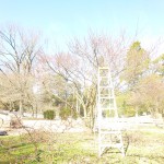 early 2013 312
