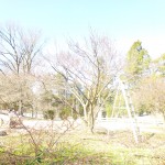 early 2013 320