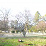 early 2013 325