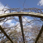 pleached arbor ties