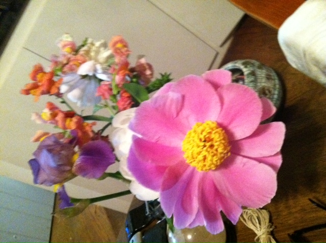 photo (12)