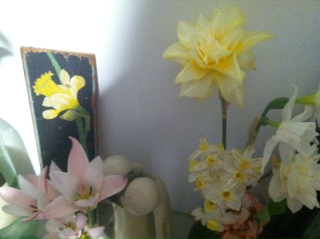 photo (3)