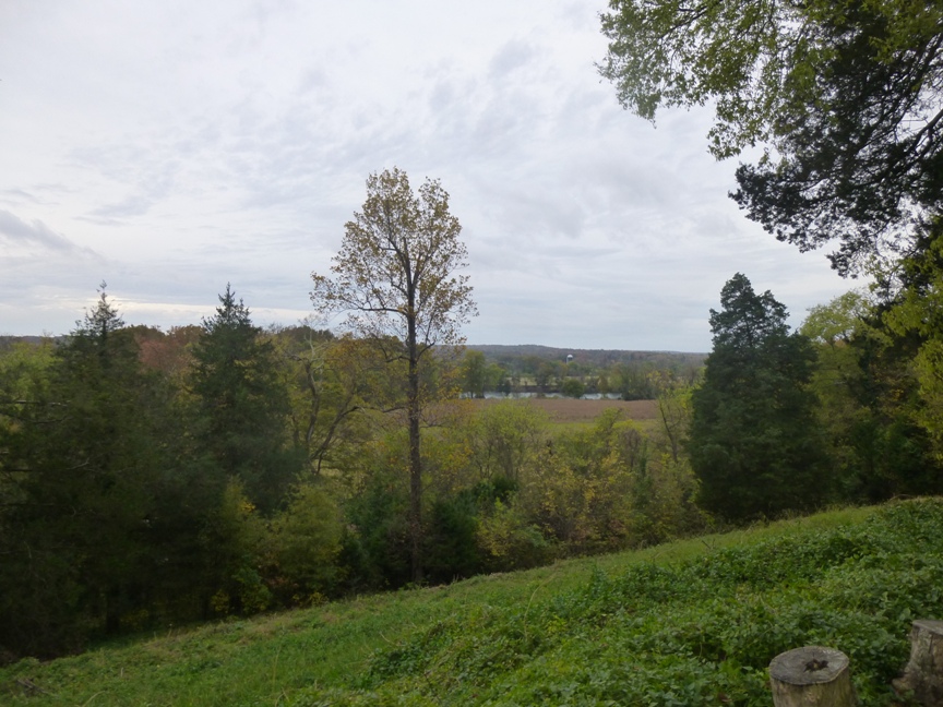 fall blog 10