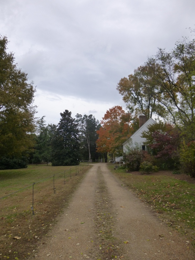 fall blog 12