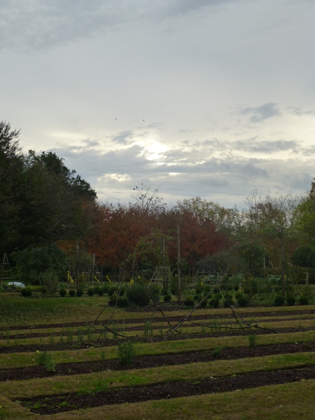 fall blog 2