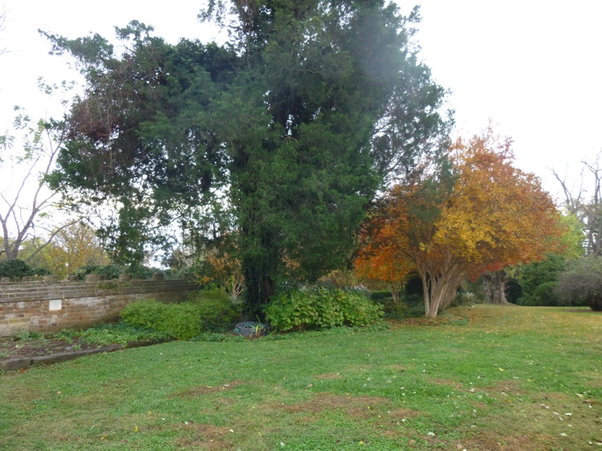 fall blog 3