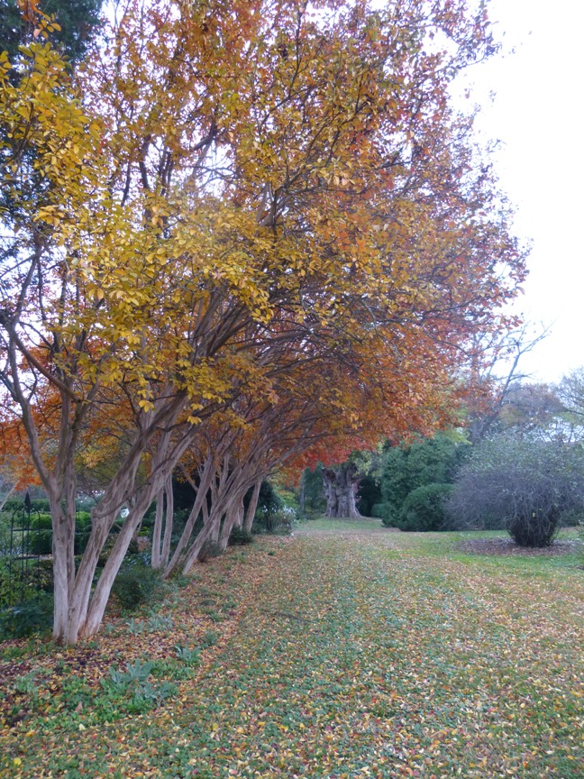 fall blog 4