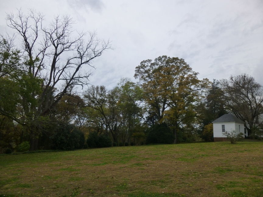 fall blog 5