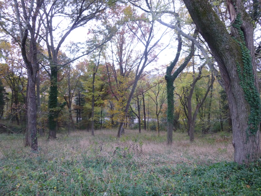 fall blog 6