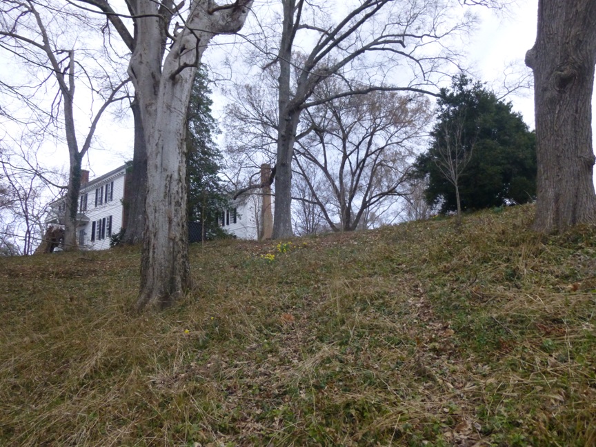 mulch and daff approach -r