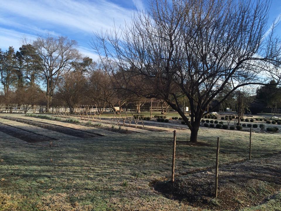 10354079_801466169902021_5563333691583813545_n