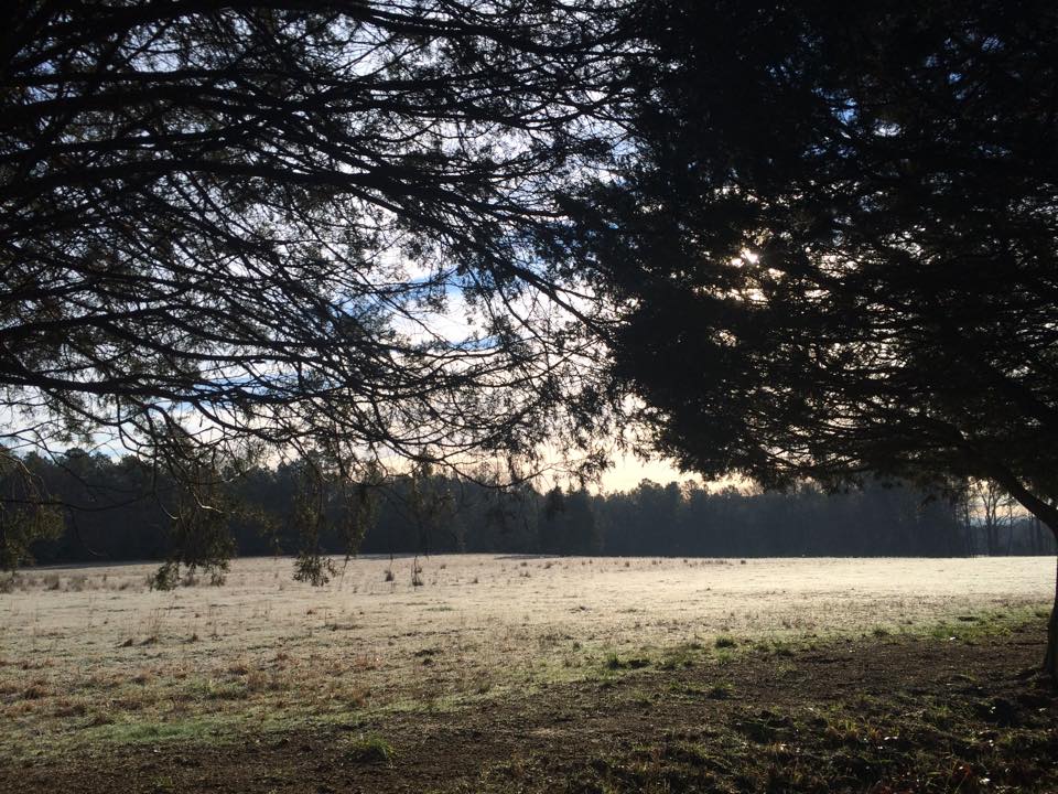 10882189_801466496568655_8654694696034962416_n