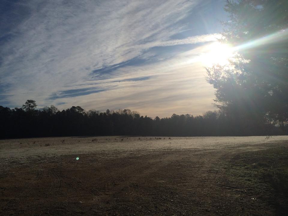 10891728_801466446568660_976523847221318879_n