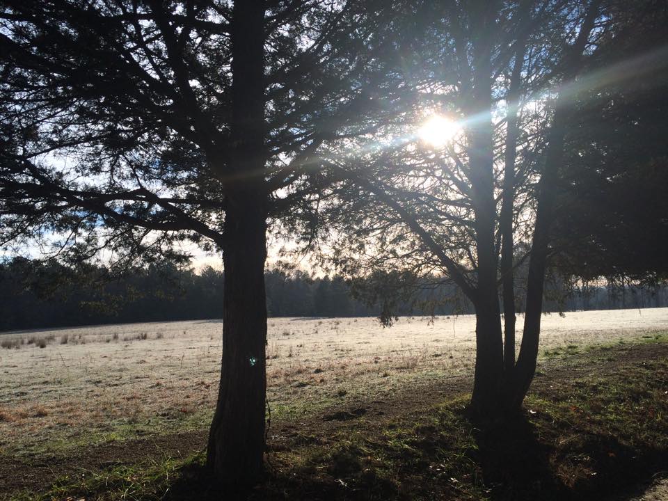 10891928_801466469901991_3410257956977638299_n