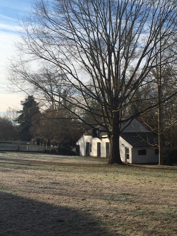 10898325_801466369902001_7463412125083255516_n